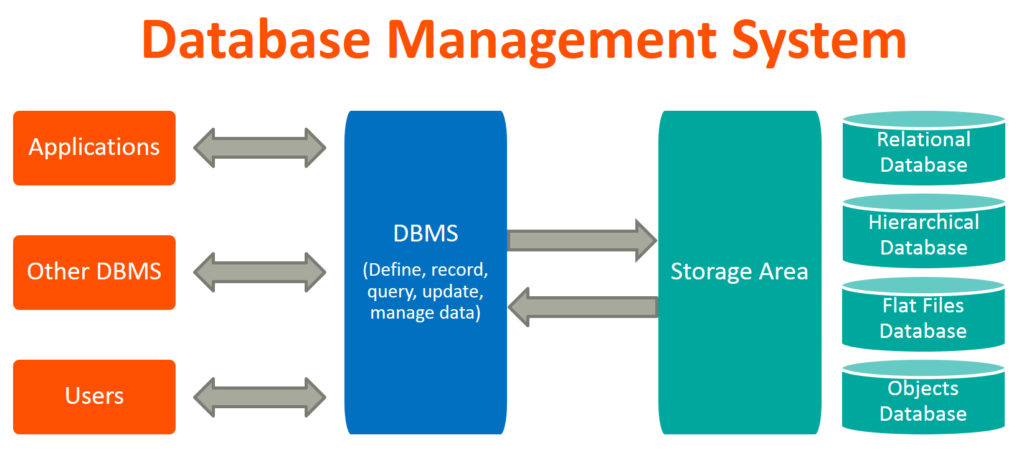 Database Management